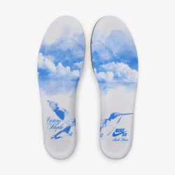 NIKE SB SHOES DUNK LOW - NICOLE HAUSE