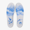 NIKE SB SHOES DUNK LOW - NICOLE HAUSE