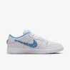 NIKE SB SHOES DUNK LOW - NICOLE HAUSE