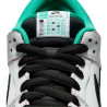NIKE SB SHOES DUNK LOW - CSEF