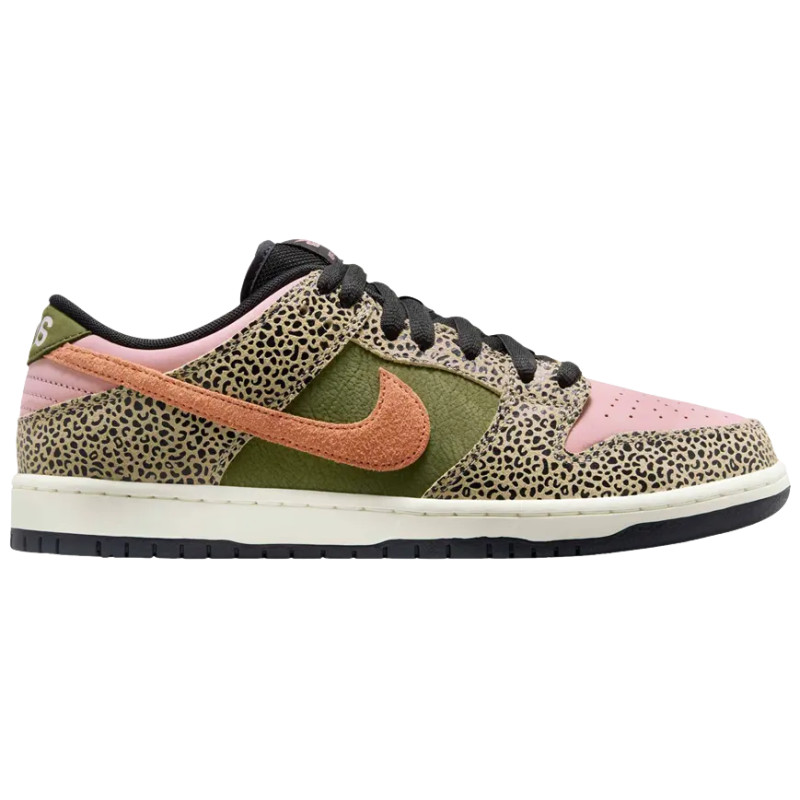 NIKE SB SHOES DUNK LOW - ARTS REC